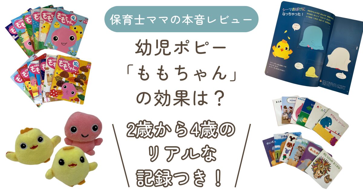 幼児ポピー　ももちゃん　アイキャッチ