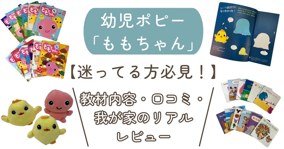 幼児ポピー　ももちゃん　アイキャッチ
