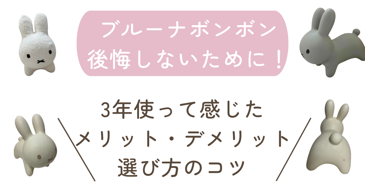 ブルーナボンボン　レビュー　アイキャッチ