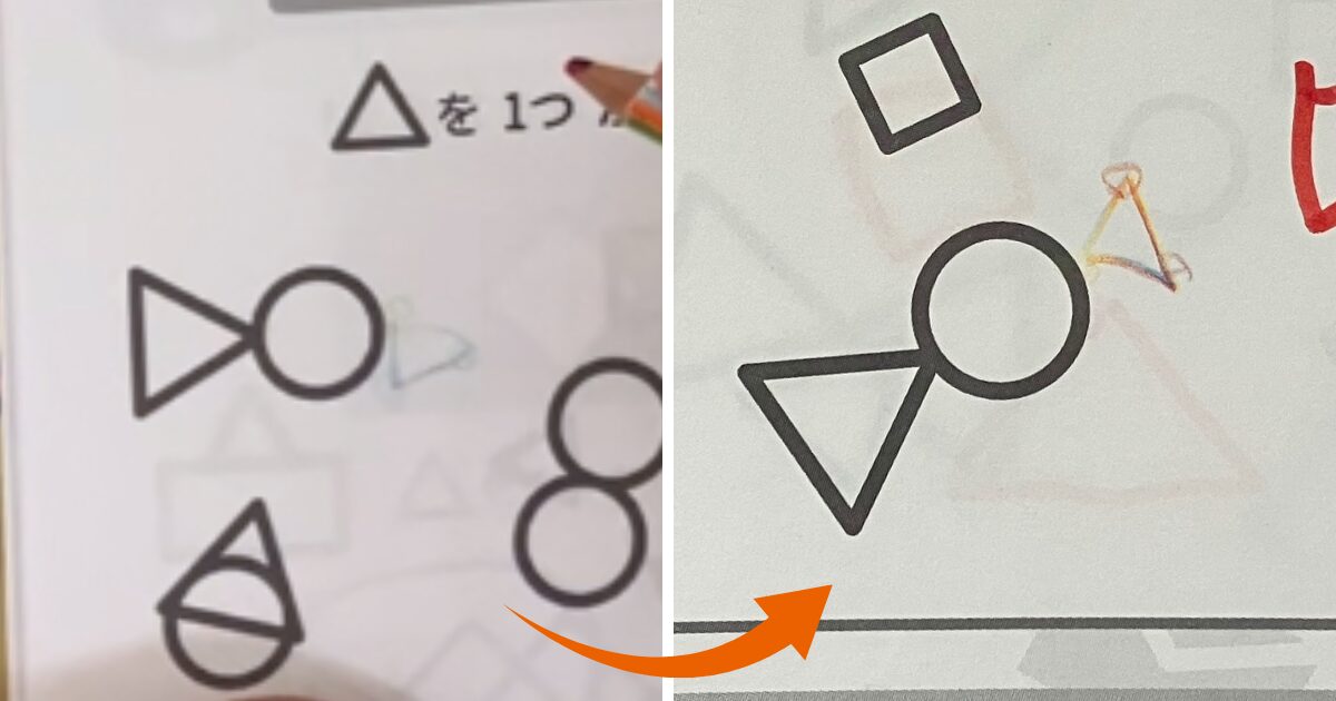 ワンダーボックス　レビュー　202505　ハテニャン　アプリ