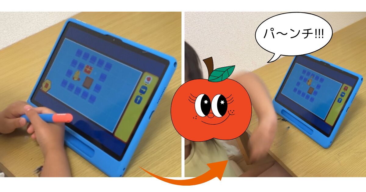 ワンダーボックス　レビュー　202505　コードアドベンチャー